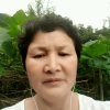 宾《欢乐家族》的头像