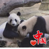 追梦人的头像