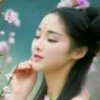 花蕊(有赞必回)的头像