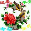 星月奇缘开心的头像