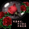 珍惜自己的头像