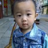 杏子的头像