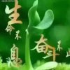 一生无悔的头像