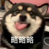 杠子。的头像