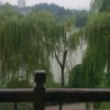 亮剑的头像