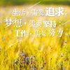 中玉的头像