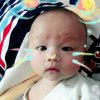 爱在樱花盛开季的头像