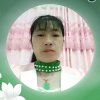 开心果的头像