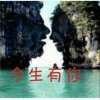今生有你的头像
