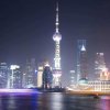 问世间，情为何物的头像