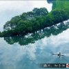  天缘 唱将春风化雨的头像