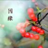 浅笑安然的头像