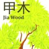 海森的头像