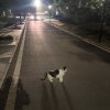 寒烟的头像