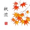人生如梦的头像