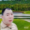 一片森林的头像
