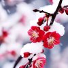 岁月无情的头像