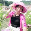 心似阳光的头像