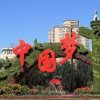 开心就好的头像