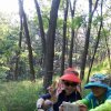 萍子的头像