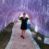 囿祢婞褔的头像
