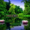 李淑芹的头像