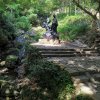 彩云的头像