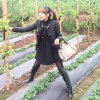 九門……C雁（不听勿评）的头像