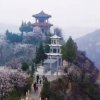思念的头像