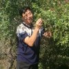 大个的头像