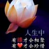 迷茫的爱的头像