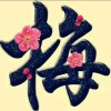 风语红梅的头像