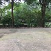 曾经最美退的头像