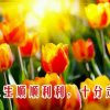 美好时光的头像