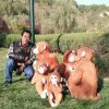 柔情烙印 的头像