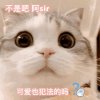 祖安小王子的头像