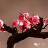 自由来去的头像