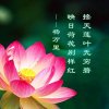 平凡的头像