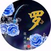 春的头像