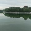 ，傲雪的头像