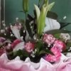 春暖花开的头像