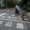 黄彩霞的头像