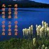 寒江雪的头像