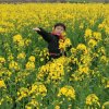 春瞹花开的头像