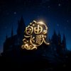 梧桐扬帆的头像