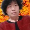 老焉的头像