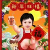 秋叶的风的头像