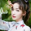 兰花的头像