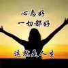 小熊猫的头像