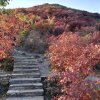 平淡人生的头像
